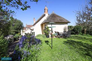 Garden- click for photo gallery